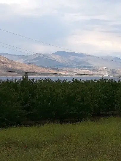 Yelken Kavurma&Balık