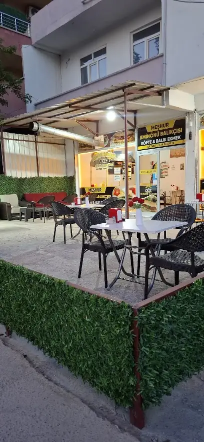 Meşhur eminönü balıkçısı köfte&tantuni&balık ekmek&ciğer kavurma