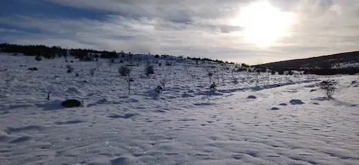 Bolu Dörtdivan Aile Sağlığı Merkezi