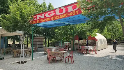 Şengülün Yeri