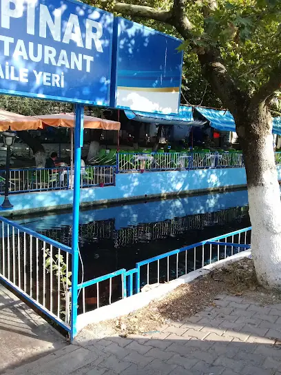 Akpınar Restaurant Canlı Sazan