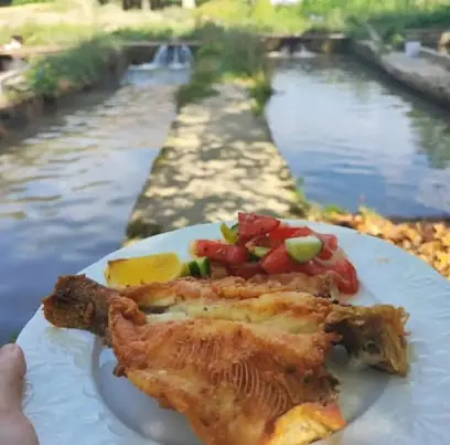 Ozan alabalık piknik et mangal