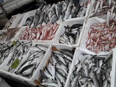 Yayladağı Balıkçısı
