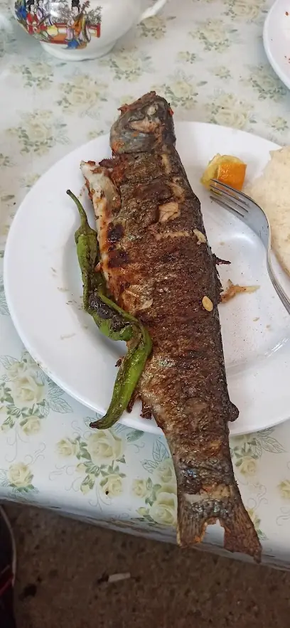 Kanisipi Alabalık Dinlenme Tesisi