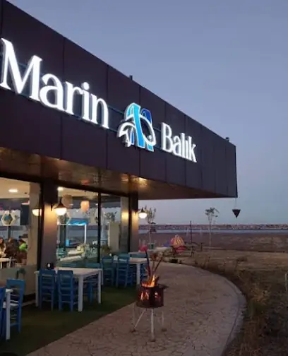 Marin balık Ordu