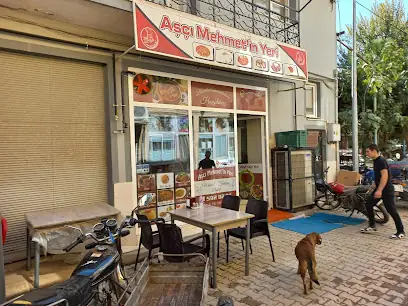 asci_mehmetin_yeri