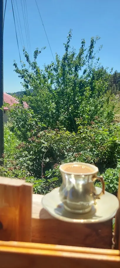 Meydan Lokantası ve Kebapçı