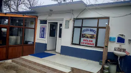 Pınarhisar Cevizli Bahçe Oğlak Çevirme