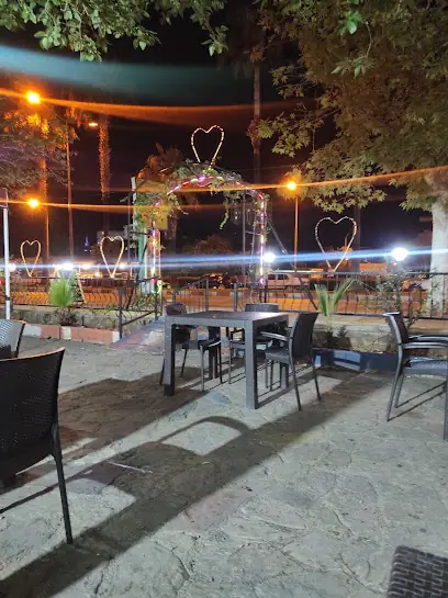 Yeşil kafe kozan