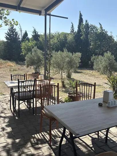 İstasyon Izgara