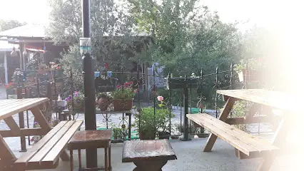 Armutlu Ayşe Annenin Yeri