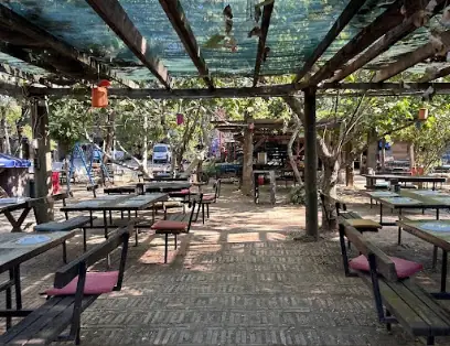 Binef At Çiftliği