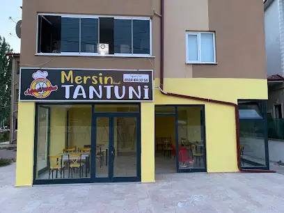 Mersin Tantuni Geyve