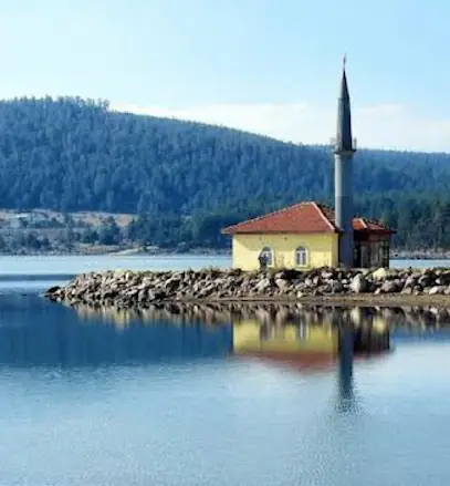 Seben