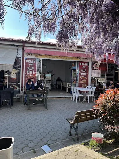 Ekrem Abinin Yeri