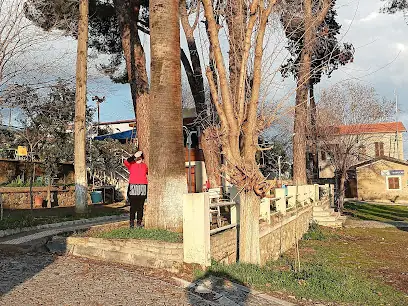 İstasyon Büfe Aile Çay Bahçesi
