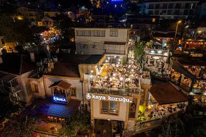 Kaya Koruğu
