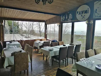AVNİ BABA