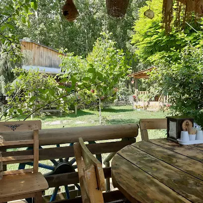 Aslan Balık Evi