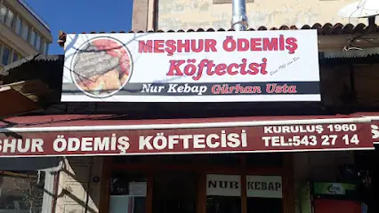 Meşhur Ödemiş Köftecisi gürhan usta