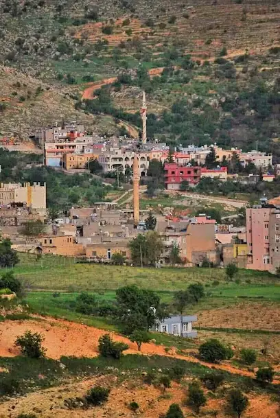 Yeşilli