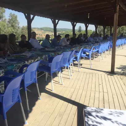 Park Kebap Ve Aile Çaybahçesi