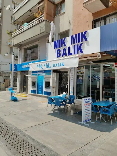 Mık Mık Balık Bayraklı