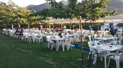 Dut Dibi Et Mangal