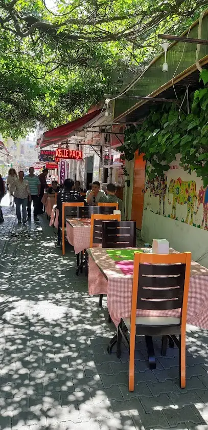 Meraklı ev yemekleri Meraklı Türk Mutfağı