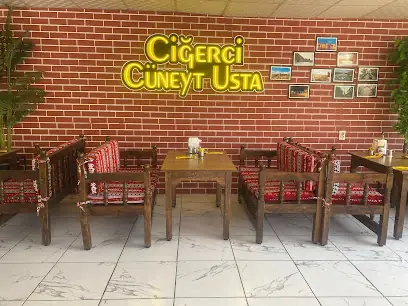 Ciğerci Cüneyt Usta Çınar