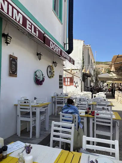 Dört hanımeli
