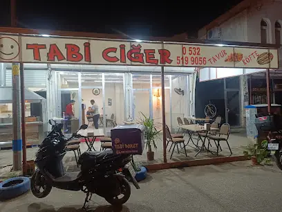 Tabi ciğer