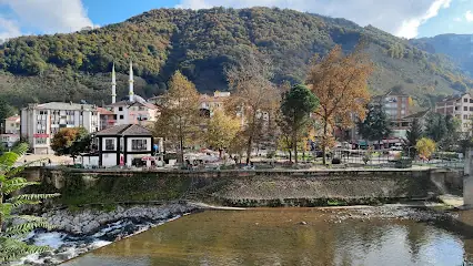 İkizce