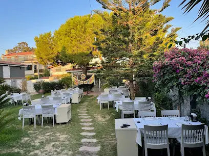 Zaitun Seafood Cafe & Restaurant