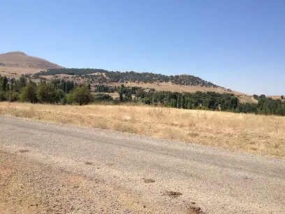 Çelebi