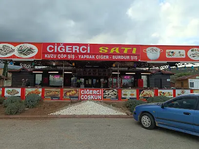Erman ciğer