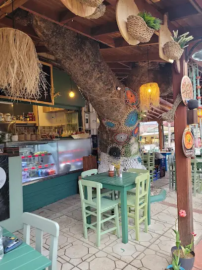 EVORA
