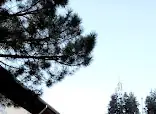 Şaphane Kayabaşı cafe
