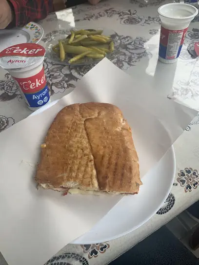Tostçu Hayati