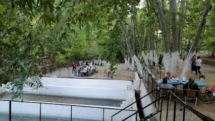 Çınaraltı Alabalık restorant