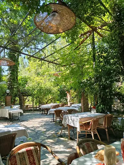 Değirmende Canlı Alabalık