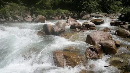 Ekrem Orhon Çamlık Piknik Mesire Yeri